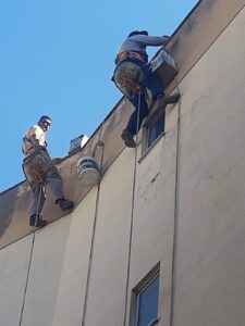 WhatsApp Image 2026-01-19 at 20.37.09