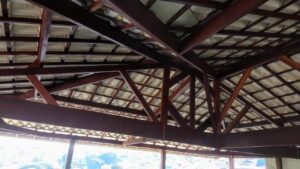 WhatsApp Image 2026-01-19 at 20.37.10 (2)